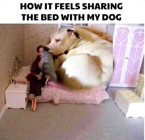 FB_IMG_1746217276549