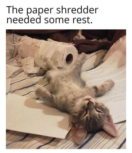 493332353_1101183738481207_8436056920161048097_n