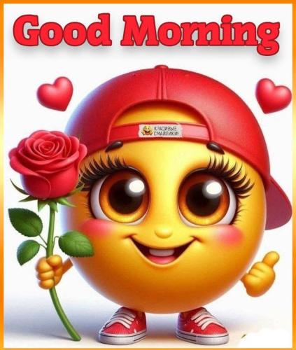 FB_IMG_1748086841825_resized