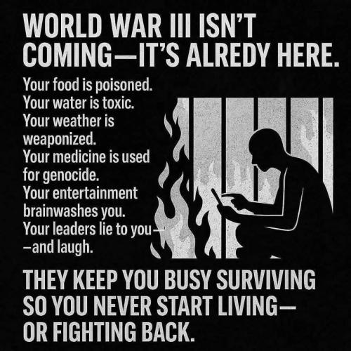 IMG_20250517_052445_796