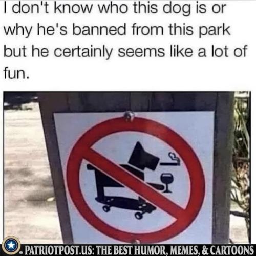 01JT93VYM4177F4T9QZ0TFVVRA