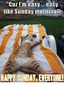 f1a623221664dbe0891b18912d358263