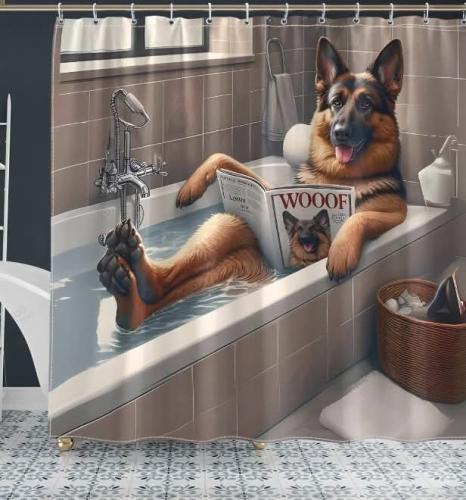 FB_IMG_1748103961959