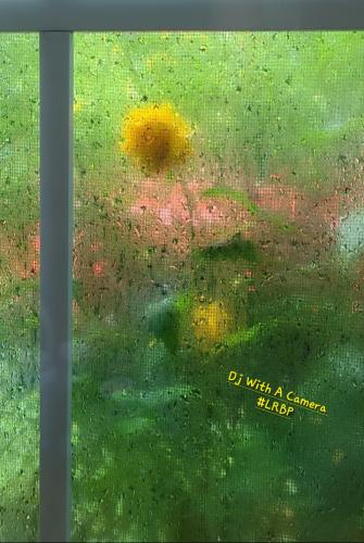 Screenshot_20250507_070739_Gallery