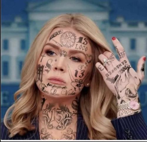 FB_IMG_1746496581512