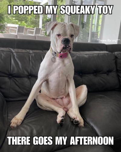 FB_IMG_1748648859672