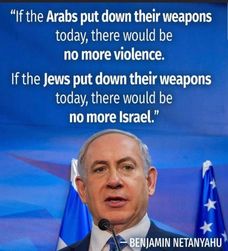 186525564_4009735332426837_2470117968523800620_n