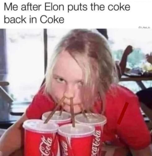 image_B1BE44B3-E6F3-49F3-A4DD-4E1969DBD673