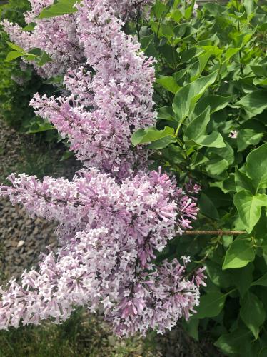 C7852B02-618D-41F6-BF4B-C67B336DB1C2