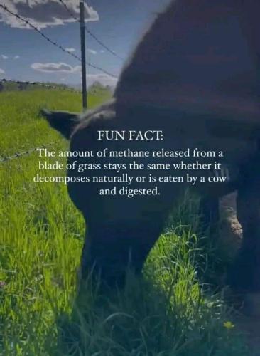 db795237-5bce-4c01-9362-0cbda52cd082