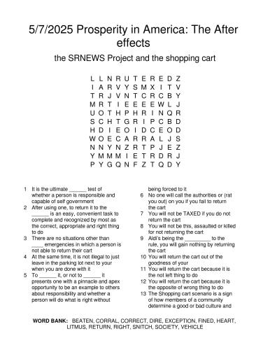 572025ProsperityInAmericaTheAfterEffects