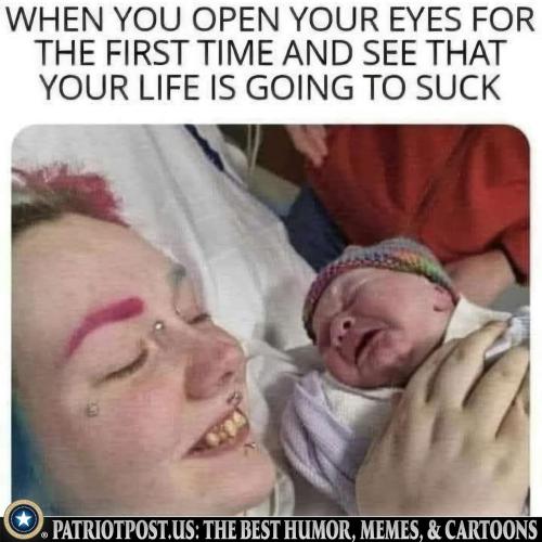 01JT940PCAZQM2KM7K7QMMKNVN