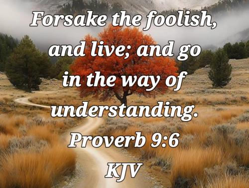 f3f69016-d91d-4a3b-8349-df6de2aeda67