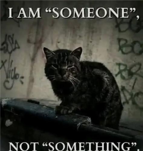 Screenshot_20250509_085330_Nextdoor