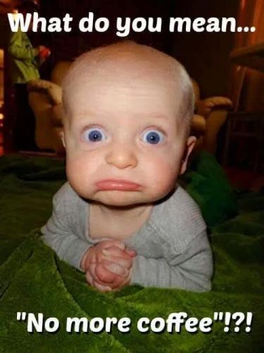 FB_IMG_1748086386206