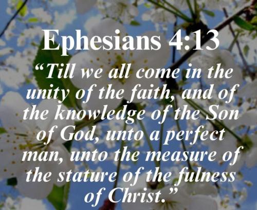 25e2cd2d-71cf-48af-a11b-a098b1e7acf0