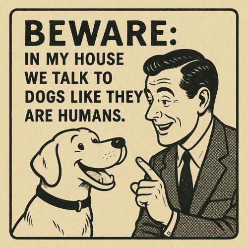 FB_IMG_1748093646144