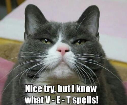 e77621ab1f29679a09a8a569adc44fd0