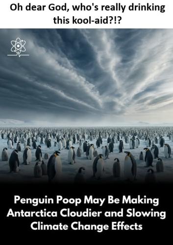 penguine poop