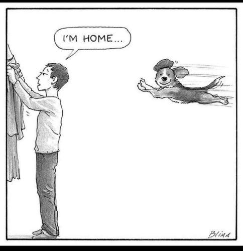 fe92fd5897f1f2a0ae0084049a35cd9e