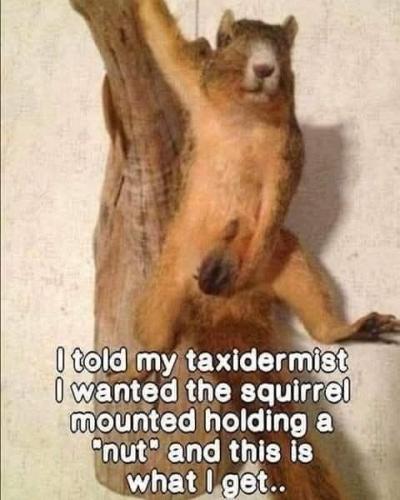 FB_IMG_1747068486853