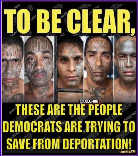 42FD60E4-9ECF-4D99-8904-0BFF9E032D02