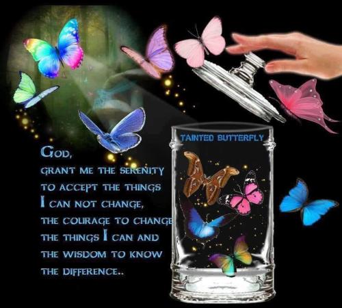 499217284_1235563687937763_3757802535460910882_n