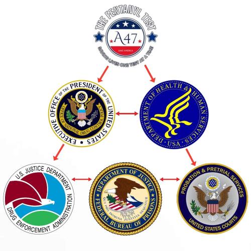 Don't Miss This Opportunity