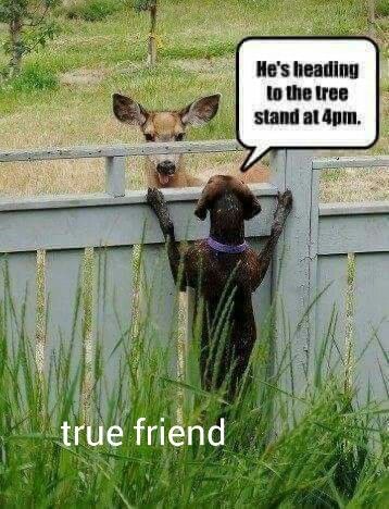 41fb96bb3f348c4885d4508117e704d8