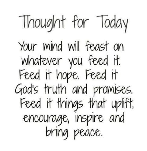 75a9d0b4-62cb-4588-92ab-06e133417716