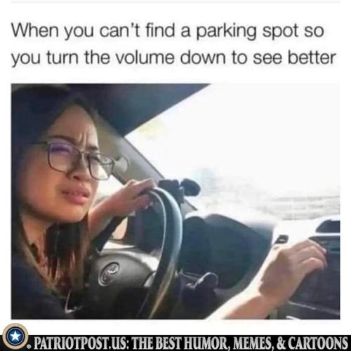 01JVMA1XXPKGVEX7RHMS8QGMVB