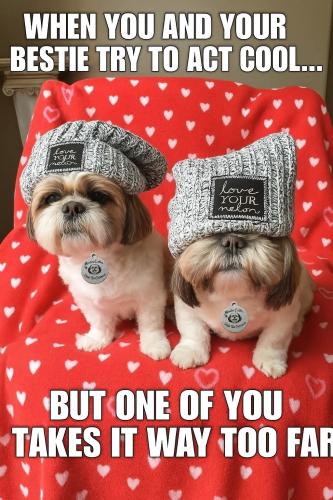 FB_IMG_1748086284399