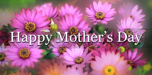 01F53CCFF3EE3TA4YFK8HKSHPQ