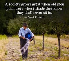society old man grow trees