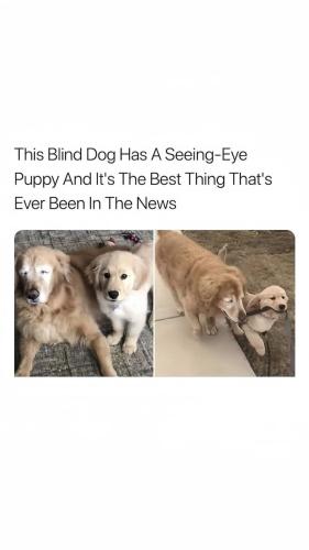 FB_IMG_1747166556288