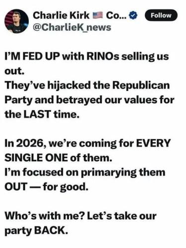 rinos 6