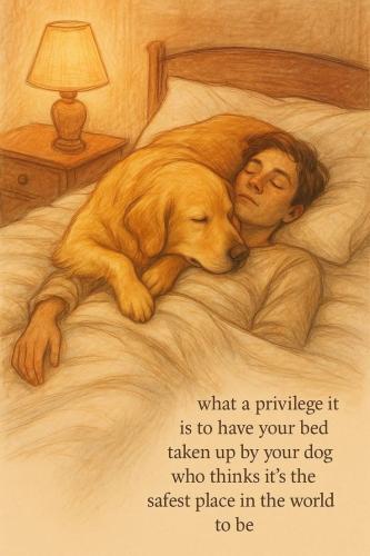 6b3c6f933d0ae8d5d3a5b9603b805bd8