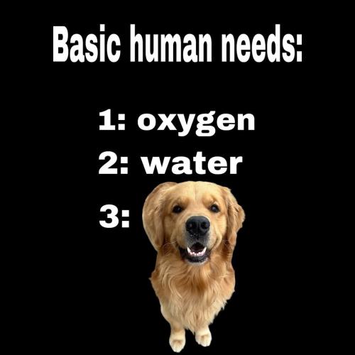 FB_IMG_1747159242564