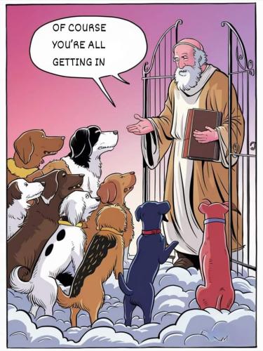 687a39b2337bee7446fe49fc289b30fc