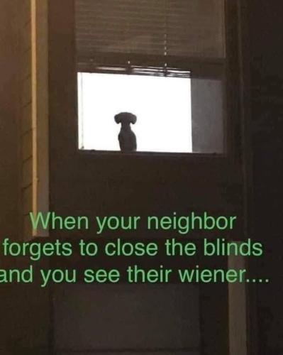 image_E318DA35-36F3-48A4-BBF9-95FFD7527B24