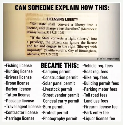 image_2025-05-09_064632162