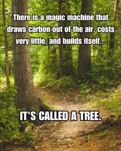 Screenshot 2025-04-30 154747