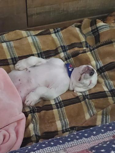 Messenger_creation_03136CB0-93BD-4A4E-B0DF-513251DB4435