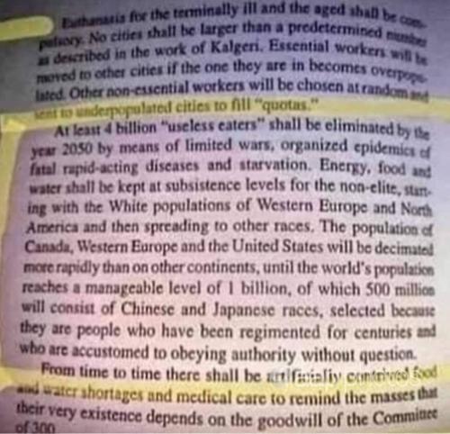 Screenshot_20250522_204212_Google~2