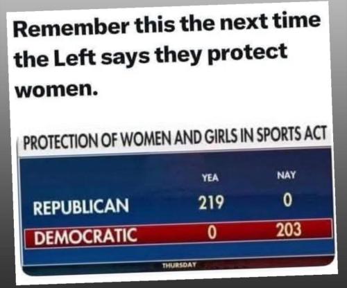 02250AD5-1A8C-4E0E-ABB6-312457BE0AF2