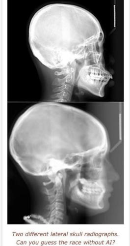 IMG_20250520_171043_959