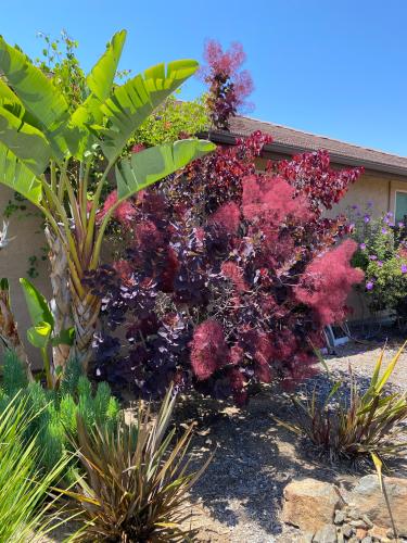 D89A9A51-9AEF-43FB-A9EF-81AD4A605A8F