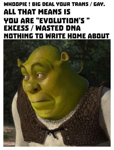 Shrek Oop Face 30052025222241