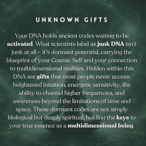 ,          ,  0424775766_746362