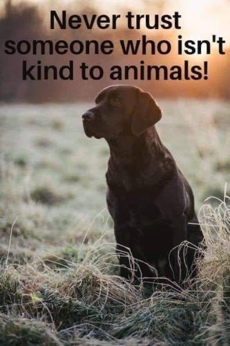 2156958857d05cb0cbb9f31f958ae30f